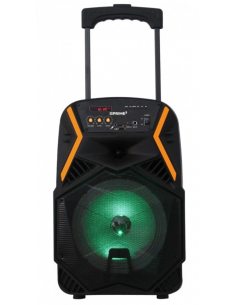 Głośnik APS22 system audio Bluetooth Karaoke